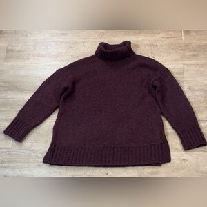 Everlane Burgundy Turtleneck Sweater